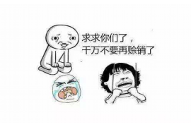 甘南为什么选择专业追讨公司来处理您的债务纠纷？